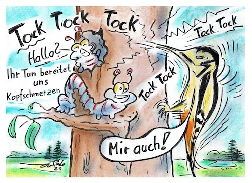 Cartoon: Wer klopft denn da ? (medium) by TomPauLeser tagged specht,buntspecht,grünspecht,waldspecht,kerbtier,maden,insekten,käfer,spechtnahrung,wald,kopf,kopfschmerzen,schmerzen,kopfschnerz,klopfen,borkenkäfer,rinde,baumrinde,landschaft,ast,baumhöhle