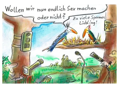 Cartoon: Wildkameras (medium) by TomPauLeser tagged vogelkunde,wildkamera,wildbeobachtung,videoüberwachung,webcam,webkamera,waldkamera,feldstecher,voyeur,spanner,ornithologe,ornithologie