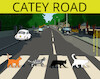 Cartoon: Catey Road (small) by andreascartoon tagged katze,tier,tierisch,abbeyroad,beatles,cover