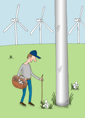 Cartoon: fan (medium) by Tarasenko  Valeri tagged fan,wind,energy