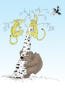 Cartoon: Leopards in Russia (small) by Tarasenko  Valeri tagged bear,leopard,birch,war