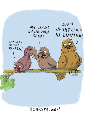 Cartoon: Es schimpfen die Rohrspatzen (medium) by SandraNabbefeld tagged cartoon,cartoonistin,cartoonist,humor,vögel,spatzen,rohrspatzen,redewendungen,redewendung,deutschessprichwort,sprichwörter,schimpfen,ärgern,rufen,schreien,sandranabbefeld,nabbefeld