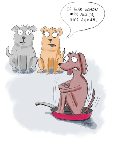 Cartoon: Irre (medium) by SandraNabbefeld tagged cartoon,cartoonist,cartoonisten,comic,lustig,funny,humor,sprichwörter,sprichwörtlich,redewendung,redewendungen,germansaying,sayings,hund,hunde,pfanne,verrückt,irre,wahnsinn,sandranabbefeld,nabbefeld