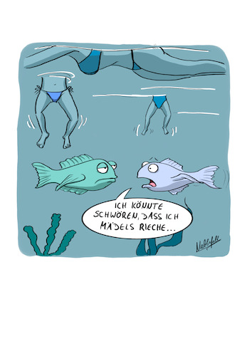 Cartoon: Tag der Fische (medium) by SandraNabbefeld tagged cartoon,cartoonistin,cartoonist,humor,absurd,lustig,witzig,fisch,fische,see,badesee,baden,hallomädels,sandranabbefeld,nabbefeld