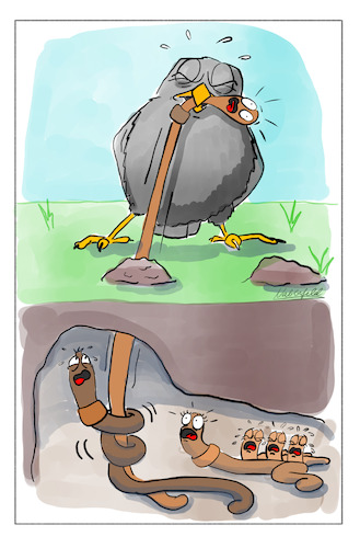 Cartoon: Wurm (medium) by SandraNabbefeld tagged cartoon,cartoonist,comic,comicstyle,humor,nichtlustig,vogel,vögel,amsel,wurm,frühstück,sprichwörter,früh,frühervogel,angst,brunch,essen,fressen,gefressen,fangen,jagen,lecker,familie,schreck,grausam,natur,natürlich,sandranabbefeld,nabbefeld