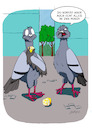 Cartoon: Die Zitrone (small) by SandraNabbefeld tagged cartoon,cartoonist,comic,comicstyle,streetlife,tauben,vögel,stadttauben,felsentauben,essen,fressen,humor,lustig,absurd,zitrone,sauer,wahllos,strasse,straße,straßenleben,hungrig,hunger,empörung,empört