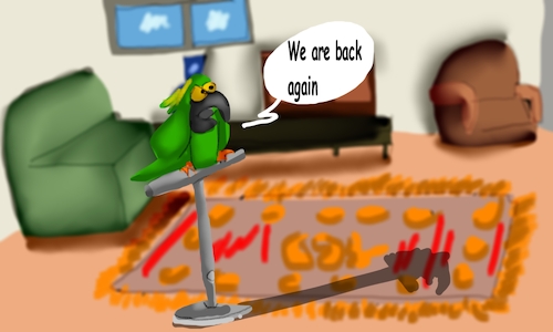 Cartoon: daily of mr froggy (medium) by sal tagged mr,froggy,cartoon