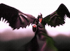 Cartoon: THE ANGEL OF DEATH Azrael (small) by sal tagged the,angel,of,death,azrael