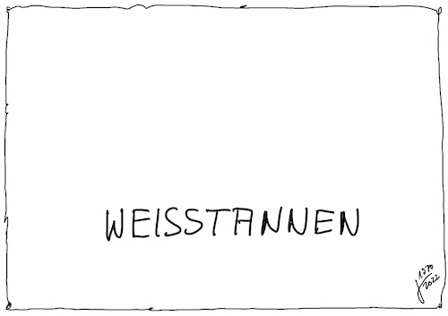 Cartoon: Weihnachten (medium) by Der kleine Herr Mann tagged weihnachten,tannenbaum,fichte,weisstanne,nadeln,christkind,bescherung,weihnachtsbaum,überraschung,unsichtbar,thomas,bäder,der,kleine,herr,mann,reduziert,vereinfachung