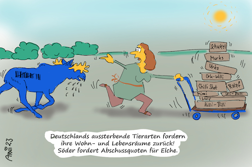 Cartoon: Elchjagd (medium) by Arni tagged elch,elche,ikea,jagd,jagen,politik,politiker,wahlkampf,käufer,möbel,tier,tierarten,söder,abschuß,abschuss,liste,quote,aussterbend,lebensraum,lebensräume,absurd