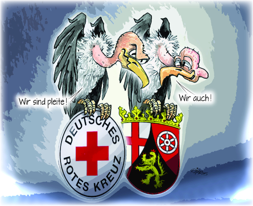 Krankenhauspleiten in RLP Krankenhauspleiten in RLP