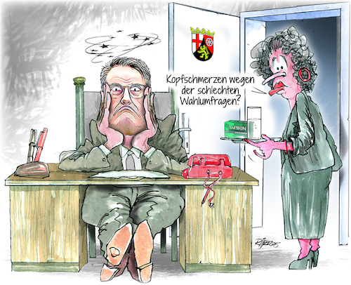 Wahlumfragen Wahlumfragen
