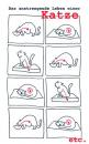 Cartoon: das anstrengende katzenleben (small) by armella tagged das,anstrengende,katzenleben