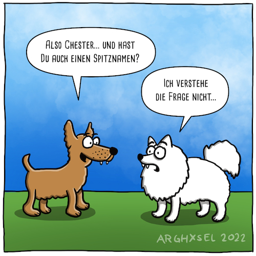 Spitzname des Spitzes Spitzname des Spitzes