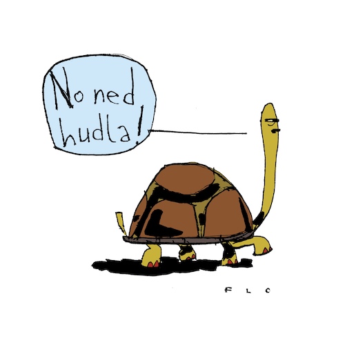 No ned hudla No ned hudla