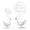 Quack
