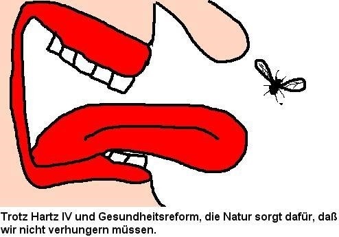 Cartoon: Natur... (medium) by Sven1978 tagged fligen,natur,gesundheit,armut,sozialhilfe,gesellschaft,not,elend,hunger,ernährung