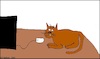 Cartoon: Ohne Worte (small) by Sven1978 tagged katze,computermaus,hardware