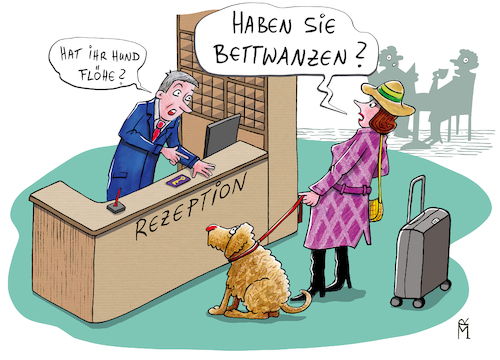 Bettwanzen Bettwanzen