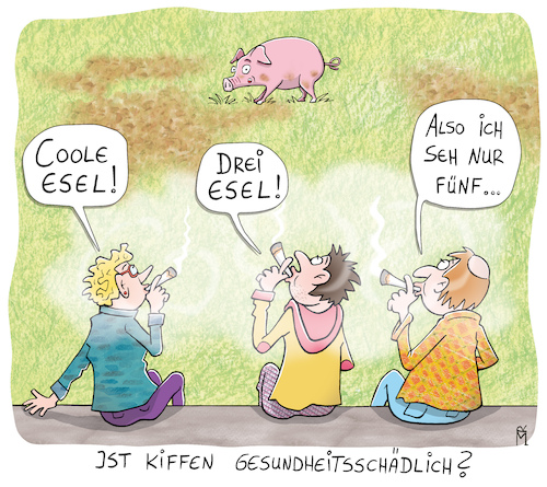 Cannabis-Legalisierung Cannabis-Legalisierung
