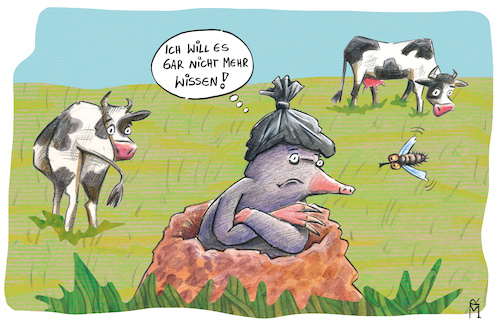 Hunde Hunde