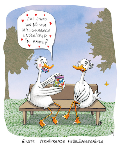 Schmetterlings-Niete Schmetterlings-Niete
