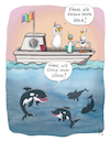 Whale watching
