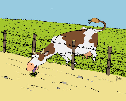 Cartoon: Kuh (medium) by Karl Berger tagged kuh,gras,zaun,nachbar,hunger,neid