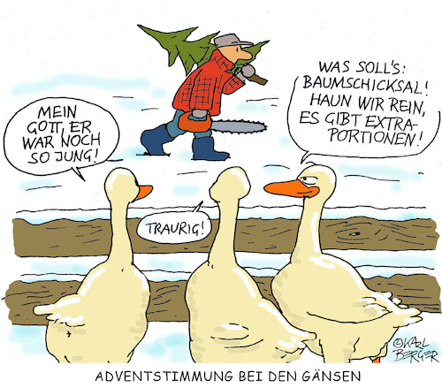 Weihnachtsbraten Weihnachtsbraten