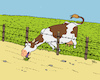 Cartoon: Kuh (small) by Karl Berger tagged kuh,gras,zaun,nachbar,hunger,neid