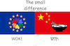 Cartoon: The small difference (small) by ArtyFicial tagged woke,wok,west,east,europe,china