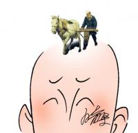 YL's avatar