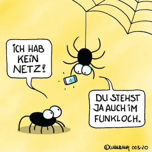 Arme Spinne Arme Spinne