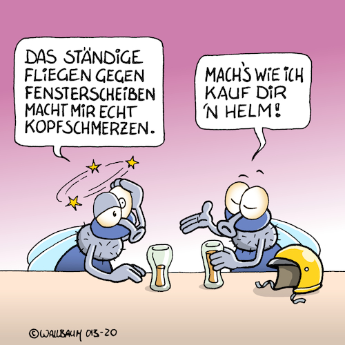 Cartoon: Fliegen haben Kopfschmerzen (medium) by Rovey tagged fliegen,fliege,stubenfliege,insekt,insekten,gespräch,bier,helm,kopfschmerzen,schmerzen,fensterscheibe,sturheit,blödheit,dummheit,dumm,blöd,iq,lernfähigkeit,verstand,verhalten,gewohnheit,typisch,fliegen,fliege,stubenfliege,insekt,insekten,gespräch,bier,helm,kopfschmerzen,schmerzen,fensterscheibe,sturheit,blödheit,dummheit,dumm,blöd,iq,lernfähigkeit,verstand,verhalten,gewohnheit,typisch