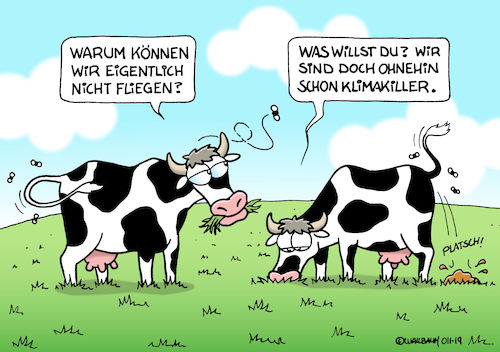 Wenn Kühe träumen... Wenn Kühe träumen...