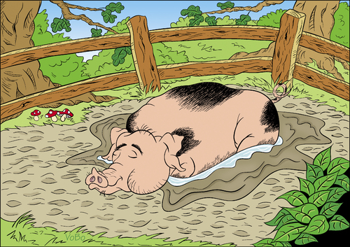 Happy Pig Happy Pig