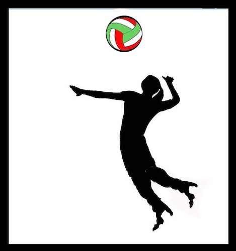 Cartoon: champion (medium) by MSB tagged champion