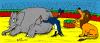 Cartoon: Circus (small) by Aleksandr Salamatin tagged circus,elephant,lion