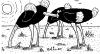Cartoon: Ostrich-like manner (small) by Aleksandr Salamatin tagged ostrich