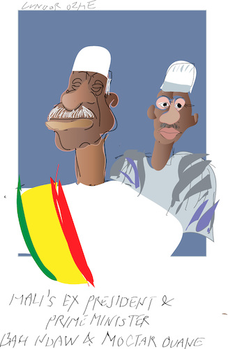 Diplomacy in Mali Diplomacy in Mali