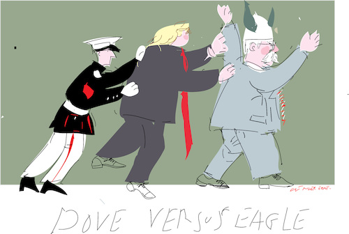 Dove versus Eagle Dove versus Eagle