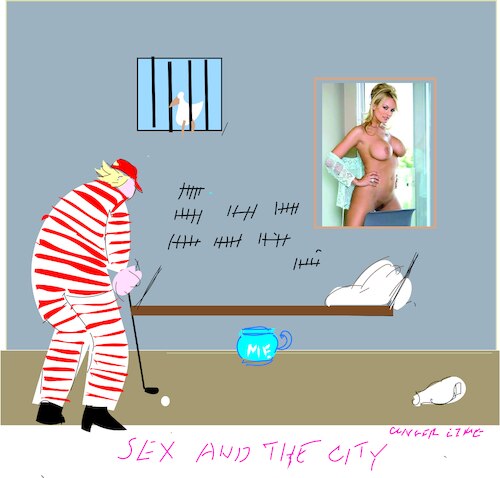 D.Trump is guilty D.Trump is guilty