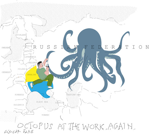 Octopus Octopus