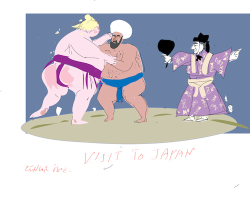 Sumo Wrestling