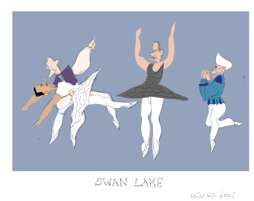 Cartoon: Swan Lake (medium) by gungor tagged middle,east