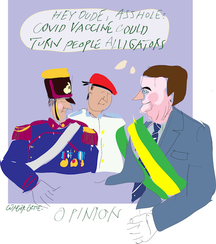 The Opinion from J.Bolsanaro The Opinion from J.Bolsanaro
