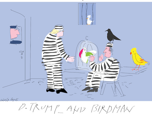 Cartoon: Trump and Birdman 2 (medium) by gungor tagged us,election,2020,us,election,2020