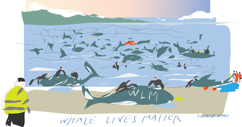 Whale lives Matter