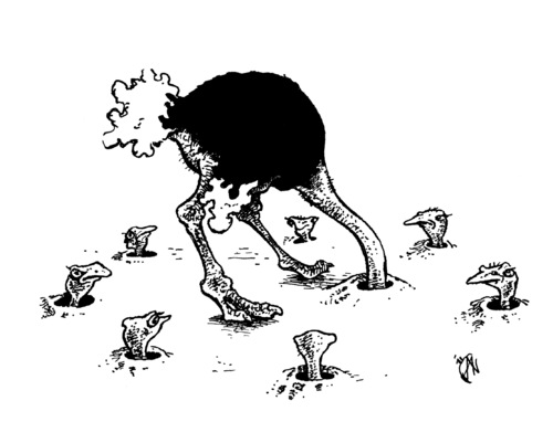 paranoid ostrich paranoid ostrich