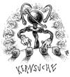 Kernsuche